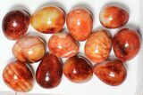 Lot: - Polished Carnelian Eggs - Pieces #91434-1